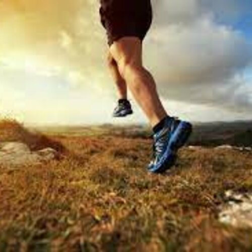 LA TRIQUERIE RUN (TRAIL)