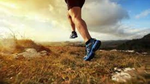 LA TRIQUERIE RUN (TRAIL)
